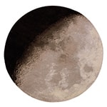 luna rug
